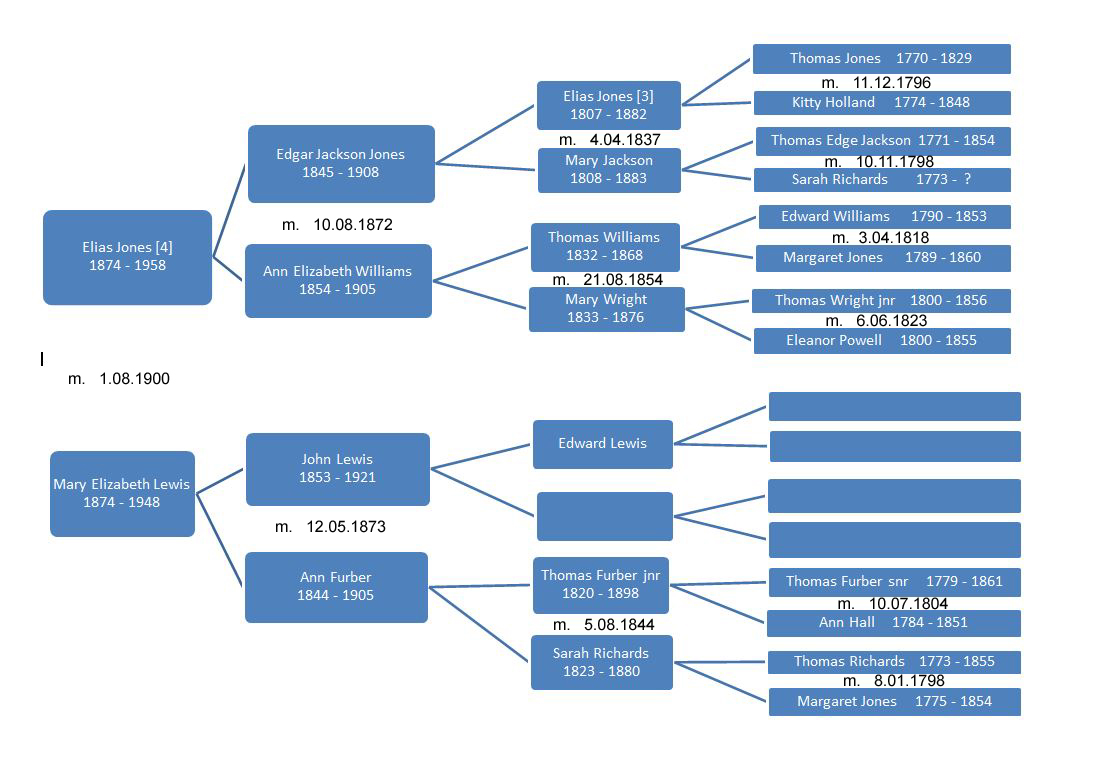 FamilyTree 4gen x m