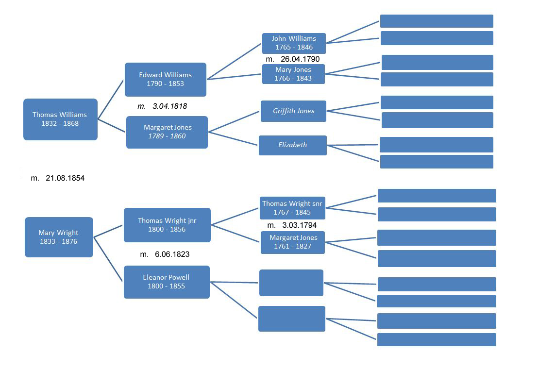 FamilyTree extW W x m